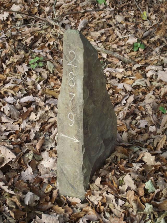 new-quillet-stone-opt.jpg?w=640